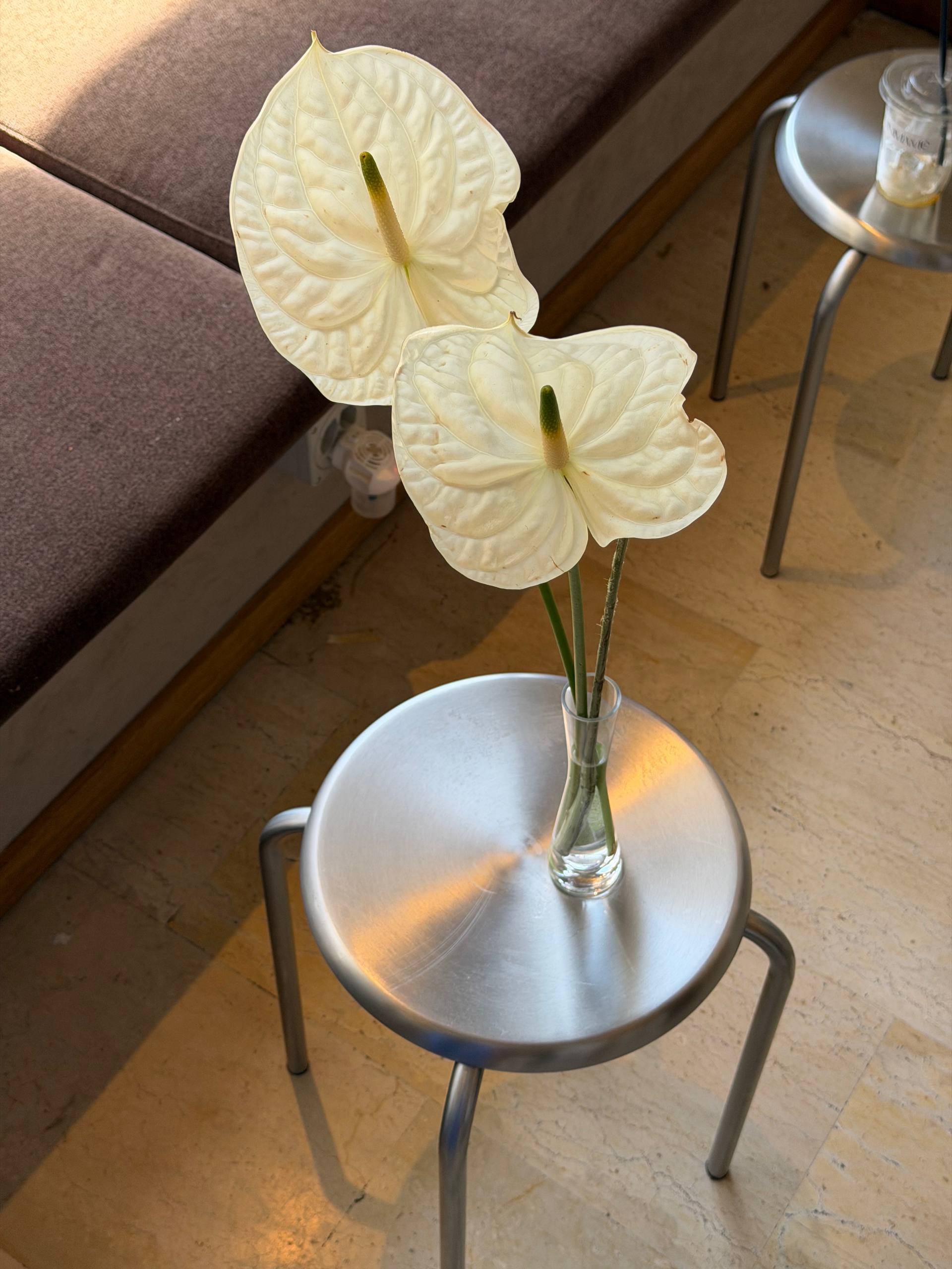 Hospitality 03
